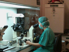 Laboratorio Cefer